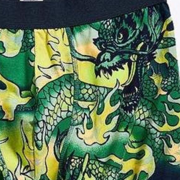 NWT UO Urban Outfitters Dragon Print Boxer Brief S - Picture 2 of 2